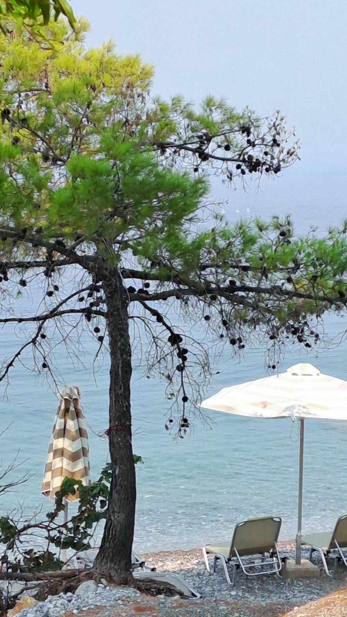 Nama Beach House Arkadiko Chorio Exterior photo