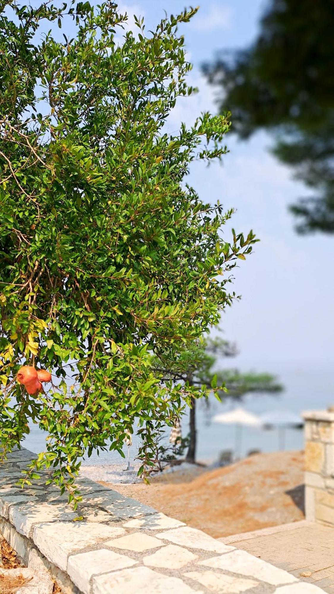 Nama Beach House Arkadiko Chorio Exterior photo